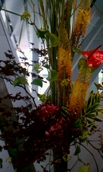 2012_06_15_13_06_35.jpg